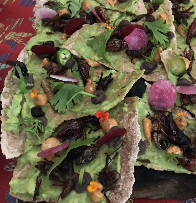 My lifelong love affair with Mexico 