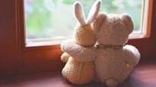 Willie Dare makes a&nbsp;friend