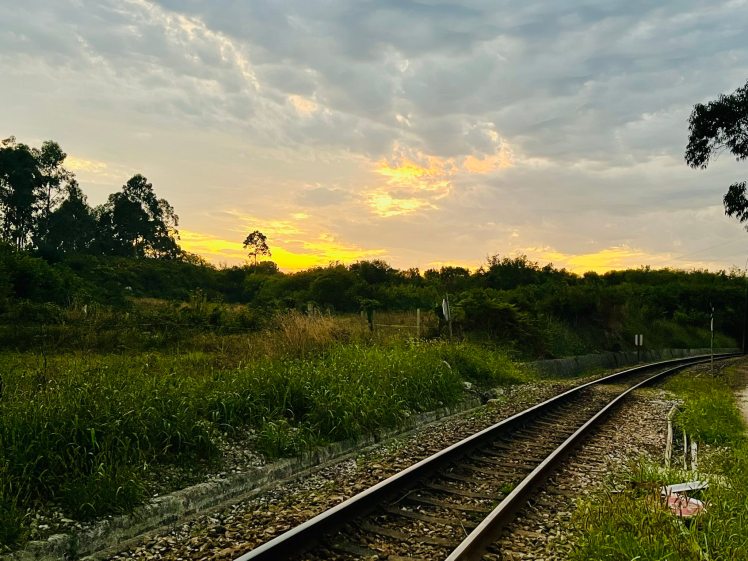 Riding the rails beside the Camino del&nbsp;Norte