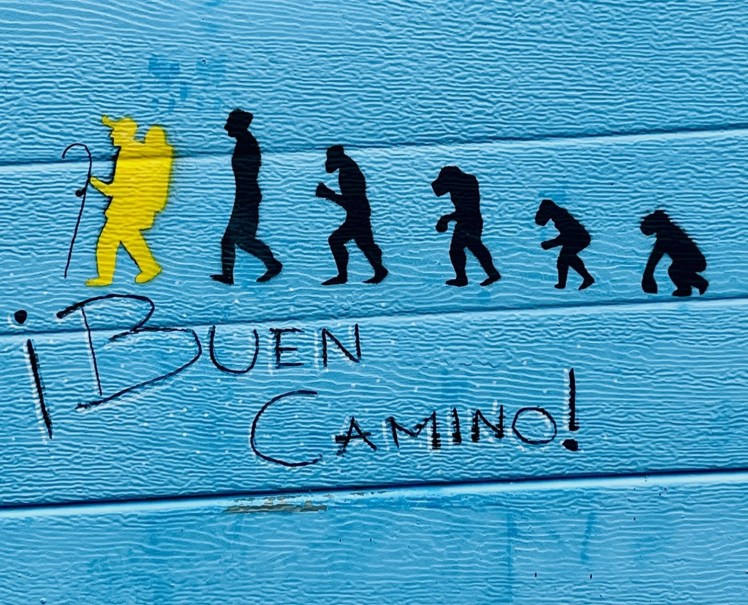 Lessons from the&nbsp;Camino