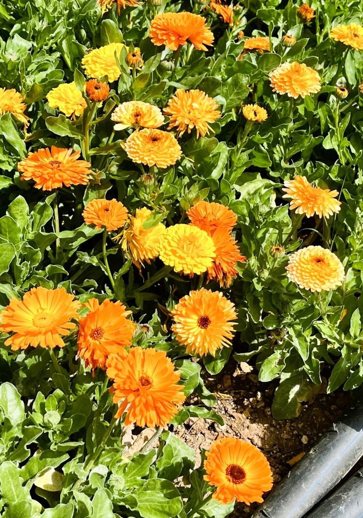 What we’ve been up to – March&nbsp;2026